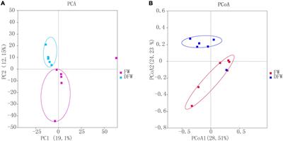 The Effects of Drainage on the Soil Fungal Community in Freshwater Wetlands